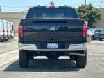 2025 F-150 Thumbnail 4