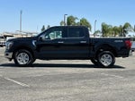 2025 F-150 Thumbnail 6