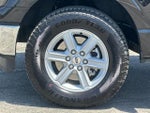 2025 F-150 Thumbnail 24