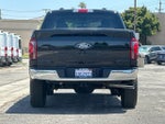 2025 F-150 Thumbnail 4