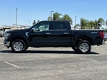 2025 F-150 Thumbnail 6