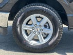 2025 F-150 Thumbnail 24