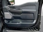 2024 F-150 Thumbnail 29