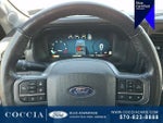 2024 F-150 Thumbnail 20