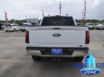 2024 F-150 Thumbnail 4