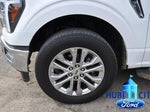 2024 F-150 Thumbnail 9