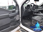 2024 F-150 Thumbnail 11