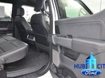 2024 F-150 Thumbnail 15