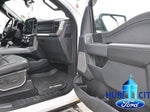 2024 F-150 Thumbnail 17