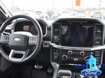 2024 F-150 Thumbnail 19