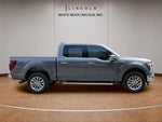 2024 F-150 Thumbnail 4