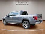 2024 F-150 Thumbnail 7