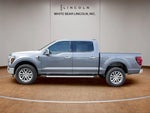 2024 F-150 Thumbnail 8