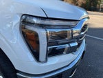 2025 F-150 Thumbnail 10