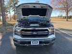 2025 F-150 Thumbnail 21