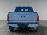 2025 F-150 Thumbnail 8