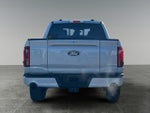 2025 F-150 Thumbnail 9