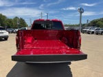 2025 F-150 Thumbnail 6
