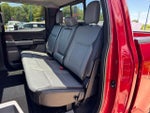 2025 F-150 Thumbnail 8