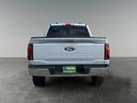 2025 F-150 Thumbnail 6
