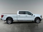 2025 F-150 Thumbnail 8