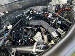 2025 F-150 Thumbnail 30