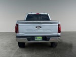 2025 F-150 Thumbnail 7