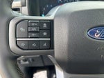 2025 F-150 Thumbnail 18