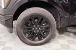 2025 F-150 Thumbnail 19