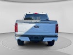 2025 F-150 Thumbnail 4