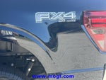 2025 F-150 Thumbnail 32