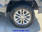 2025 F-150 Thumbnail 33