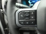 2025 F-150 Thumbnail 15