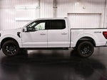 2026 F-150 Thumbnail 4