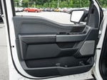 2024 F-150 Thumbnail 17