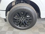 2024 F-150 Thumbnail 8