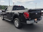 2024 F-150 Thumbnail 9
