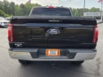 2024 F-150 Thumbnail 10