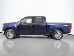 2025 F-150 Thumbnail 12
