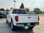 2025 F-150 Thumbnail 3