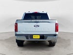 2025 F-150 Thumbnail 6