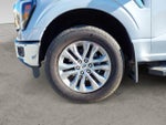 2025 F-150 Thumbnail 9