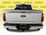 2025 F-150 Thumbnail 9