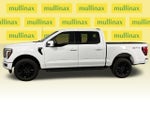 2025 F-150 Thumbnail 11