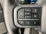 2025 F-150 Thumbnail 17