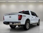 2025 F-150 Thumbnail 3
