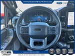 2025 F-150 Thumbnail 12