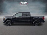 2024 F-150 Thumbnail 9