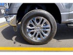 2024 F-150 Thumbnail 10