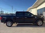 2024 F-150 Thumbnail 11